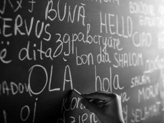 bahasa indhie.com