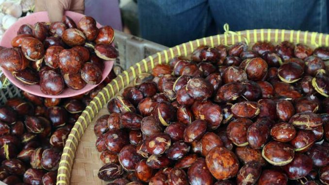 jengkol-Bareh-Lokan